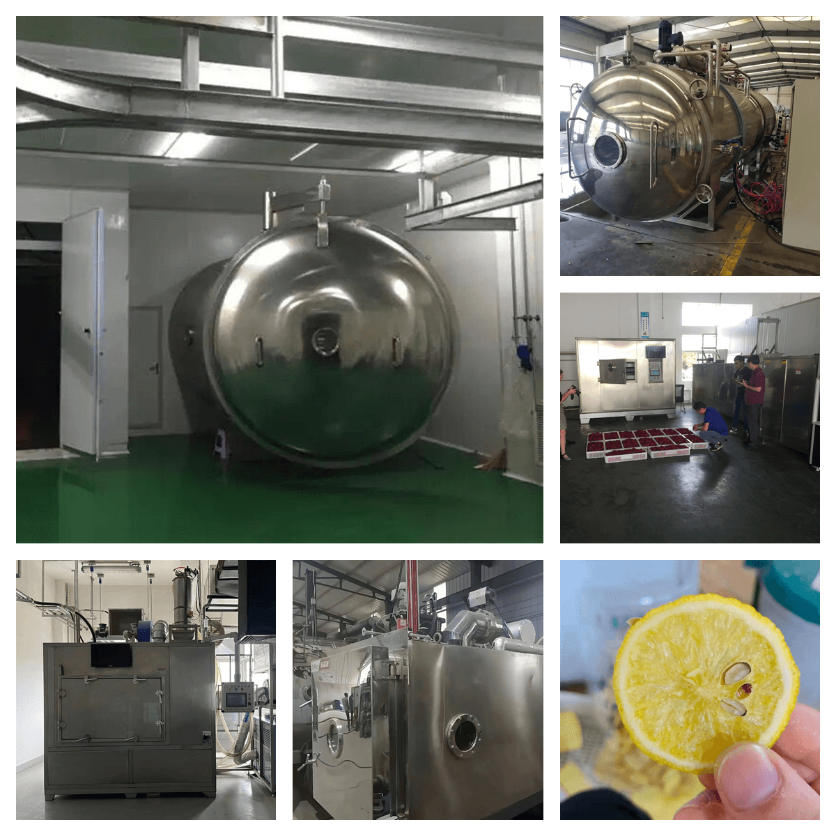 Freeze Drying And The Use Of Vacuum Technology