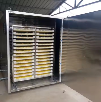 Top 10 Beef Dryer Manufacturers in China