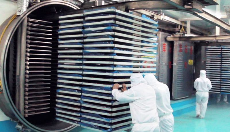 Top Freeze Dried Fruit Manufacturers And Suppliers in Germany