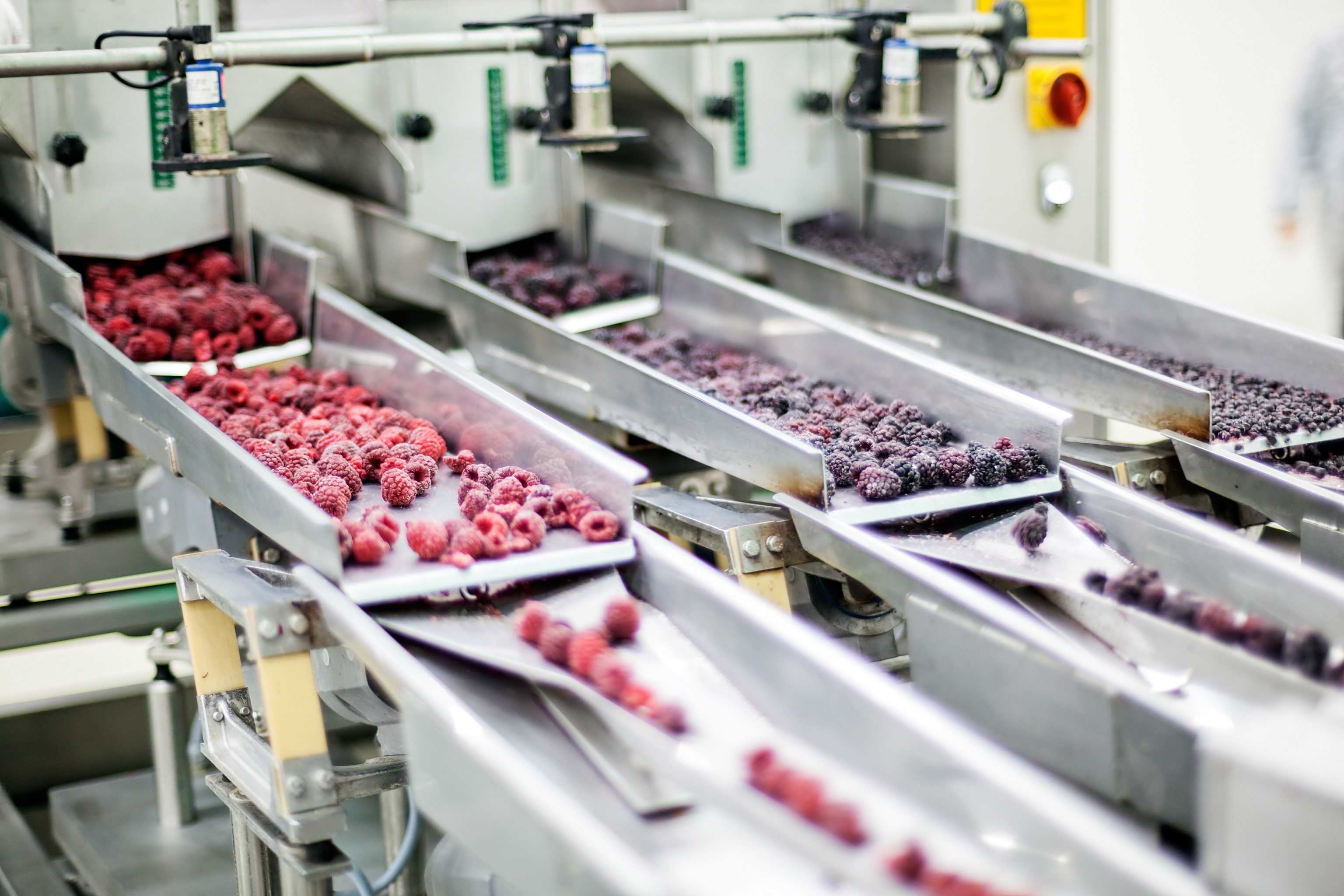 Top Freeze Dried Fruit Manufacturers And Suppliers in Japan