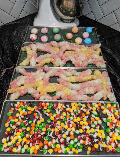 Where To Buy A Freeze Dryer for Candy-_1