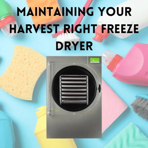 freeze dryers worth_3