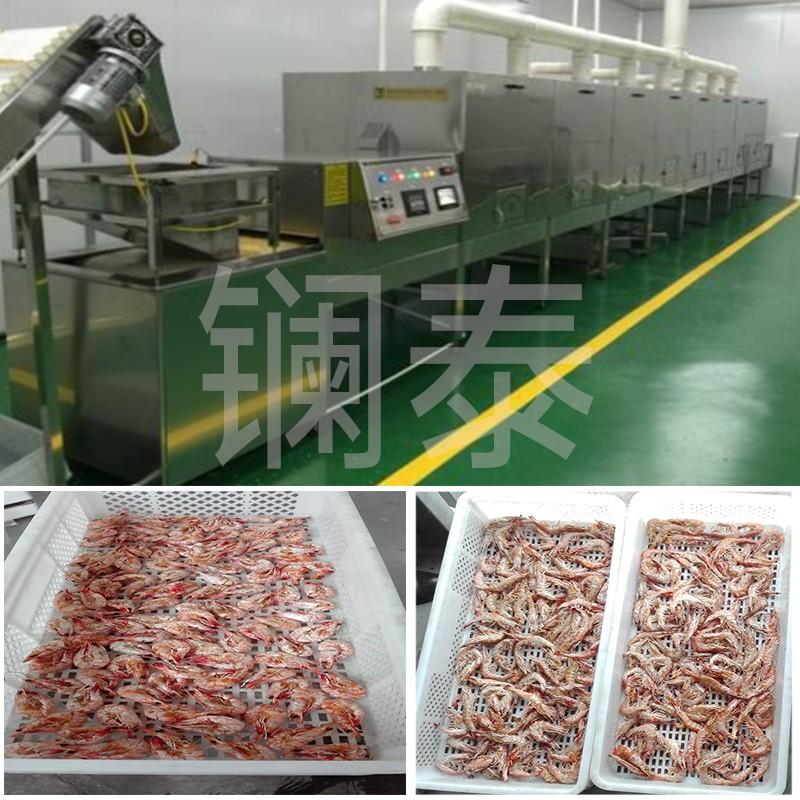 The Benefits of Choosing Dynamic Microwave Food Drying Equipment for Dehydration of Seafood