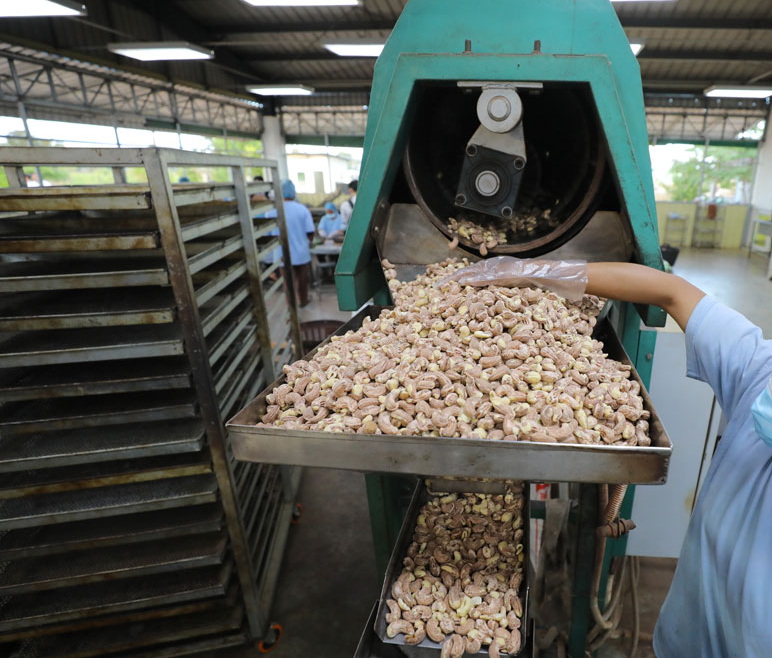 Top Cashew Nut Dryer Manufacturers And Suppliers in Japan