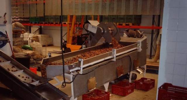 Top Freeze Dried Fruit Manufacturers And Suppliers in Portugal