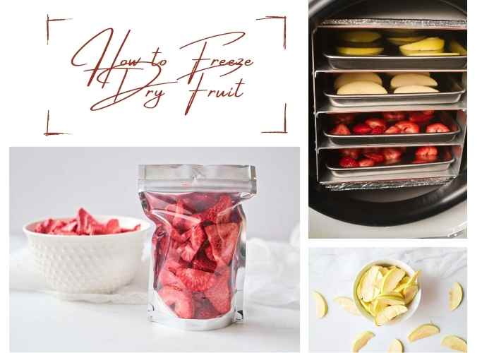 How To Freeze Dry Fruit without A Freeze Dryer-_1