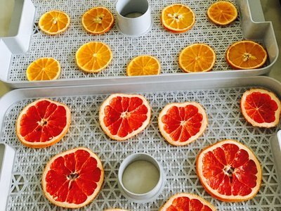 Dried orange slices_09