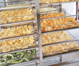 expensive is a freeze dryer_4