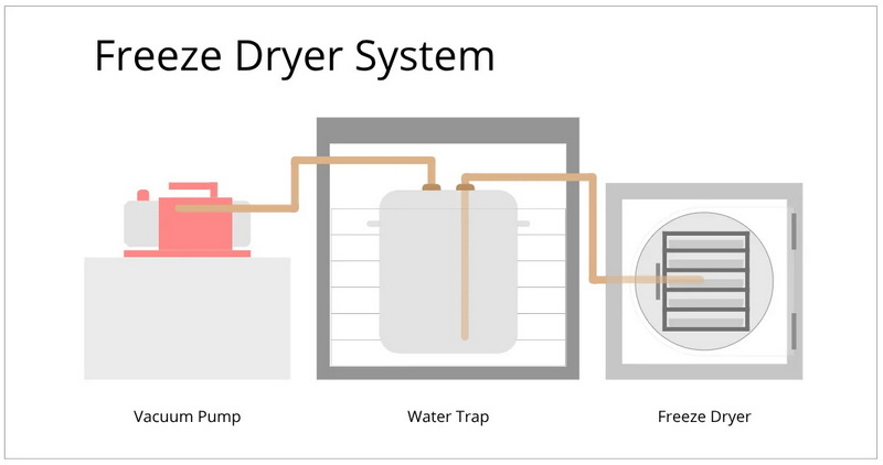 Can You Make A Freeze Dryer-_4