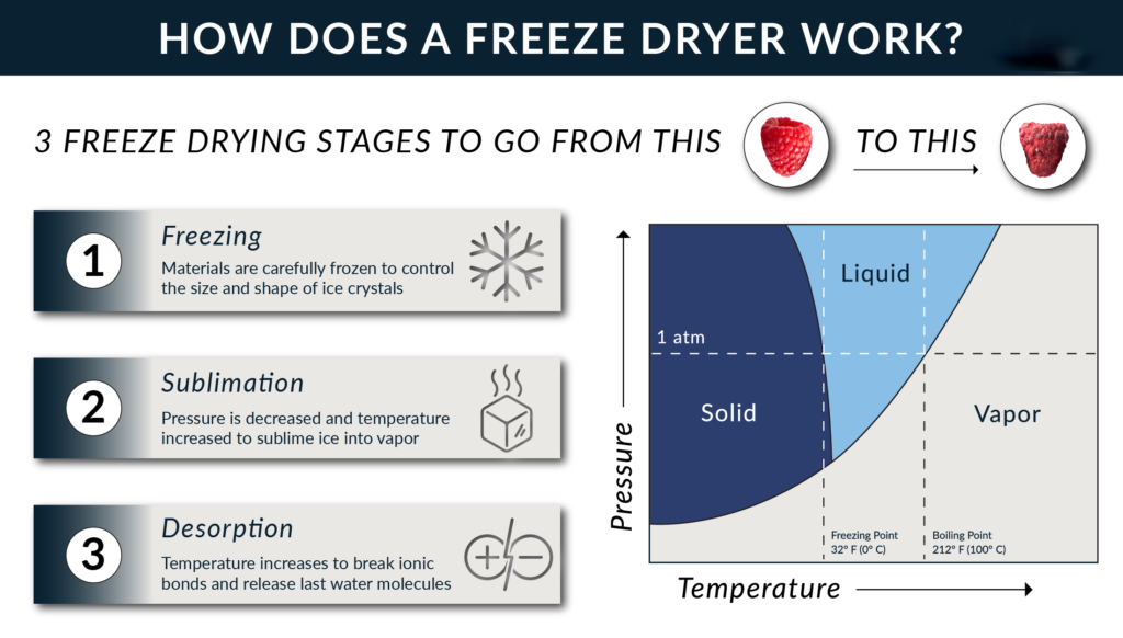 freeze dryers work