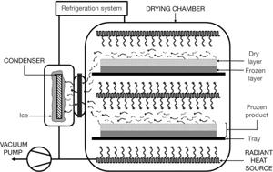 energy does a freeze dryer use_3