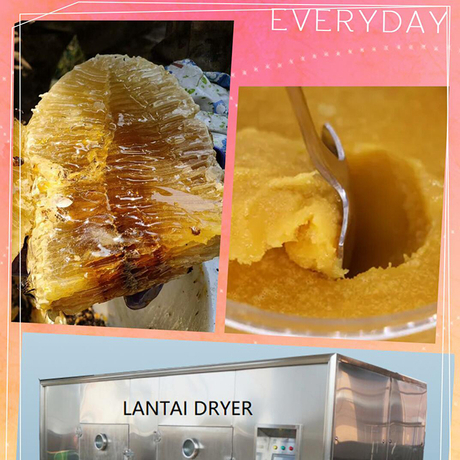 Honey Dryer and Sterilizer