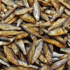 A Freeze Dryer Use_1