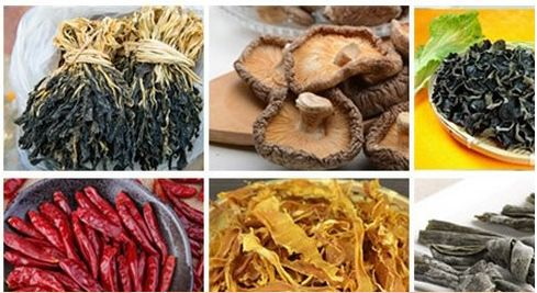 A Freeze Dryer Free Shark_2