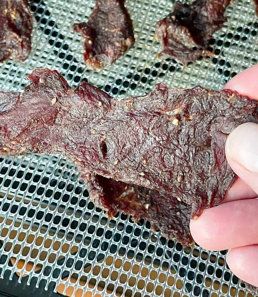 Can You Make Beef Jerky in A Freeze Dryer-_2