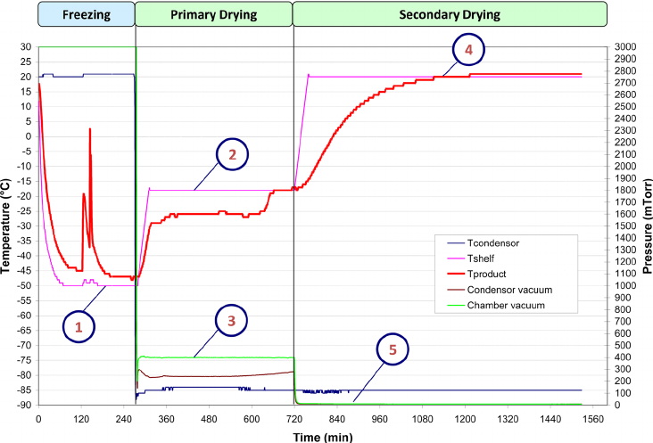 does a freeze dryer get_3