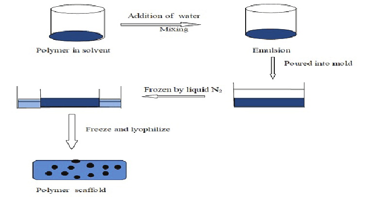 a freeze dryer take_1