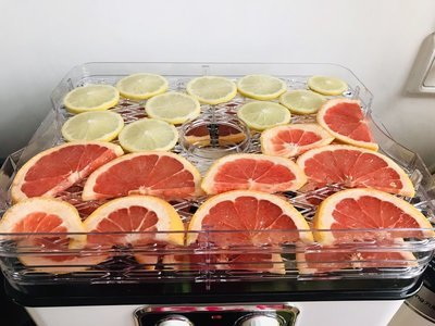 Dried orange slices_10