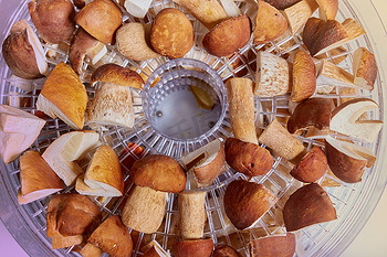 A Large Harvest Right Freeze Dryer Weigh_1