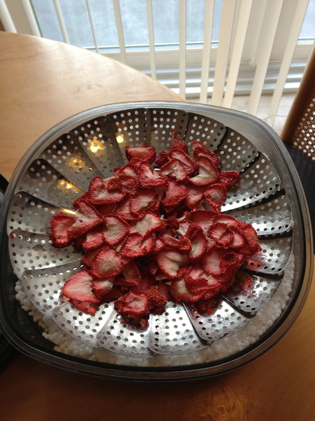 Do You Have To Defrost Freeze Dryer between Batches-_2