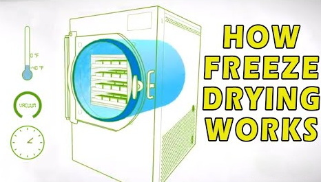energy does a freeze dryer use_2