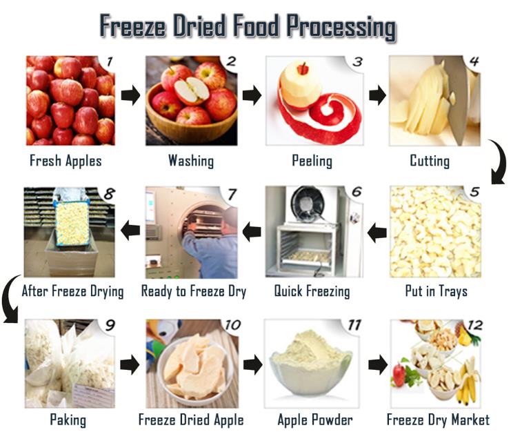 What Can You Do with A Freeze Dryer-_4