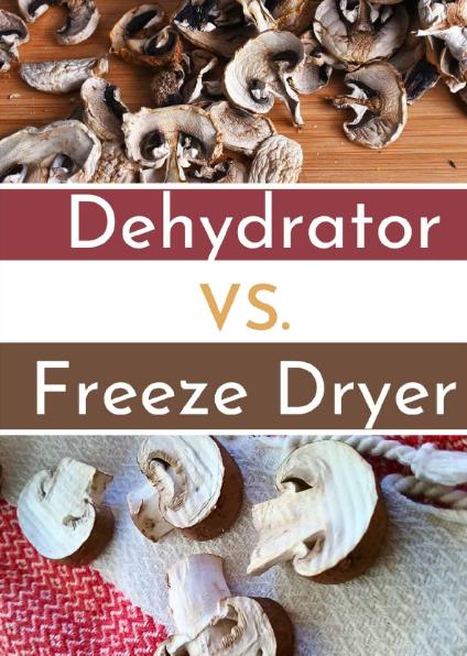 What's The Difference between Dehydrator And Freeze Dryer-_1
