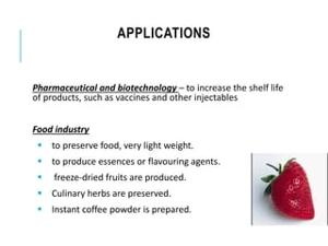 a freeze dryer work_2