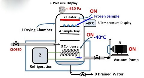 get a freeze dryer_1