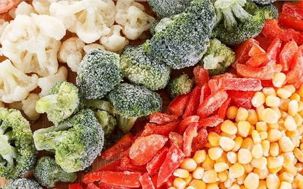 How To Build A Food Freeze Dryer-_2