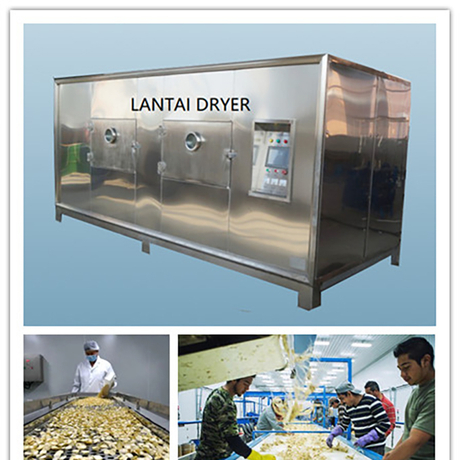 American Ginseng Drying