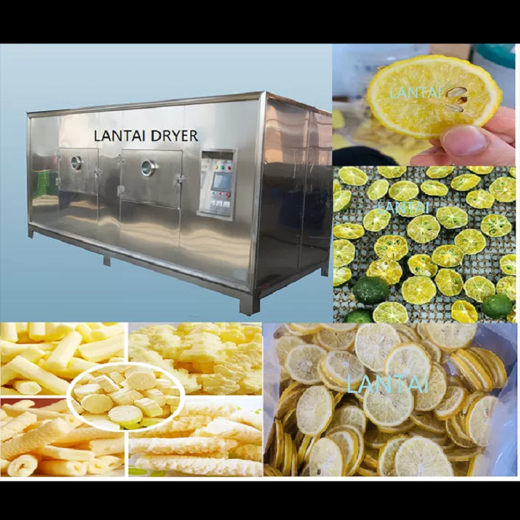 Cheese Dryer