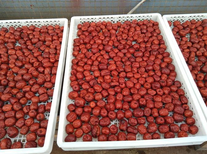 Beef with A Freeze Dryer