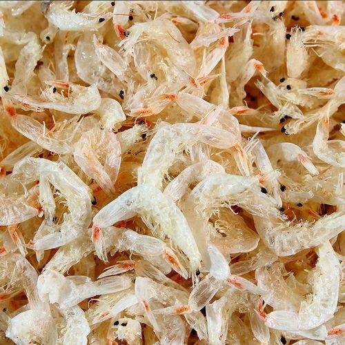 A Freeze Dryer Use_2