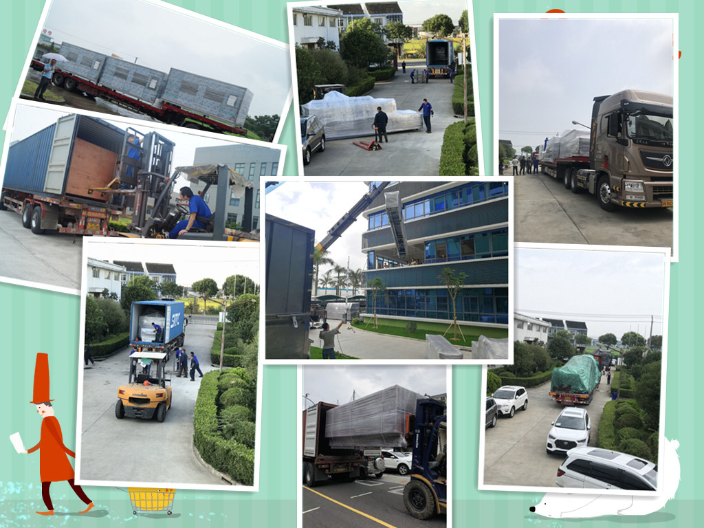 American ginseng drying