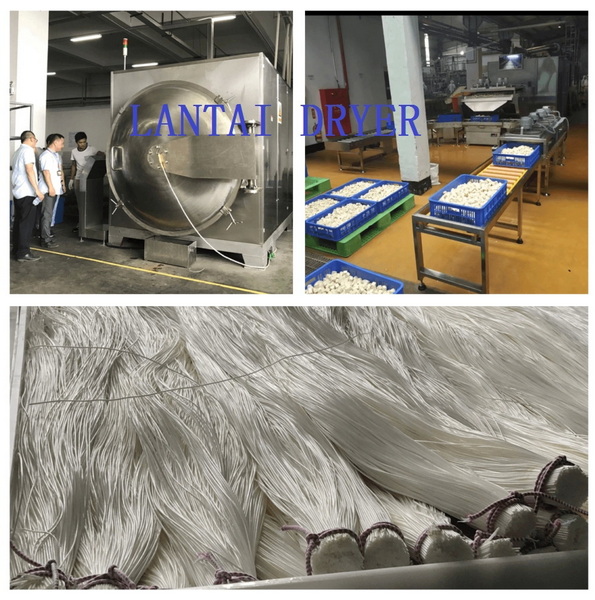 Molecular Sieve Dryer