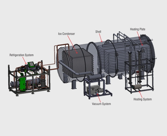 Top Vacuum Freeze Dryer Manufacturers and Suppliers in South Korea