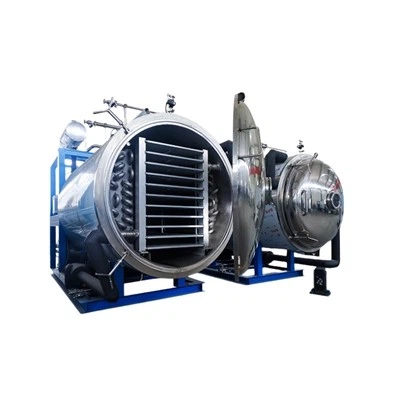 Top 10 Vacuum Freeze Dryer Manufacturers in China