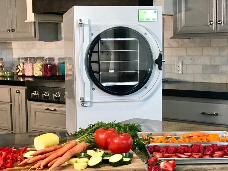 Microwave Dryer Vs Freeze Dryer: Key Differences Explained