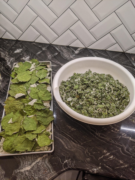 How To Freeze Dry Herbs without A Freeze Dryer-_3