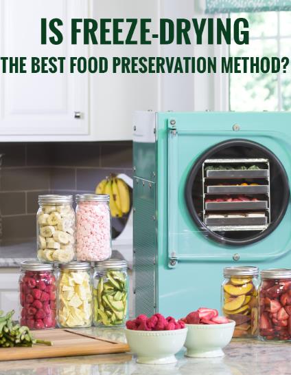 What Can You Do with A Freeze Dryer-_3