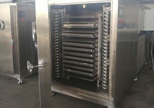 same thing as a freeze dryer_3