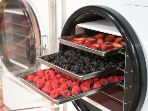 Does A Freeze Dryer Use A Lot of Electricity-_2