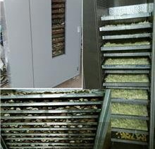 freeze dry without a freeze dryer_2