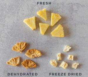 difference between freeze dryer_1