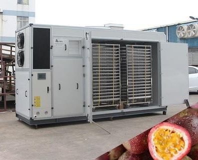 freeze dry without_3