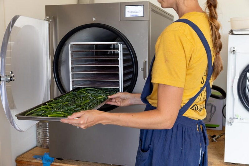 the best freeze dryer_2