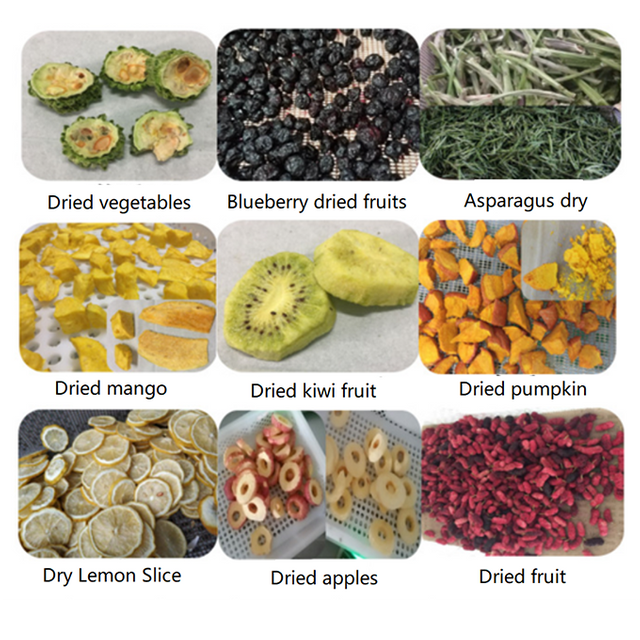 Fruit Vegetable Dryer