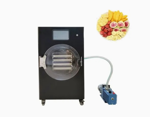 Top 10 Food Freeze Drying Machine Manufacturers in China