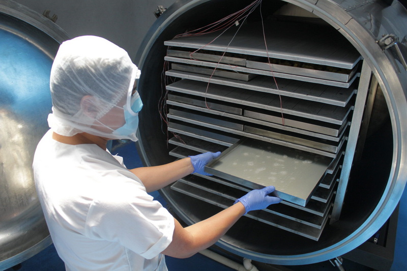 Top Freeze Dried Fruit Manufacturers And Suppliers in The UK